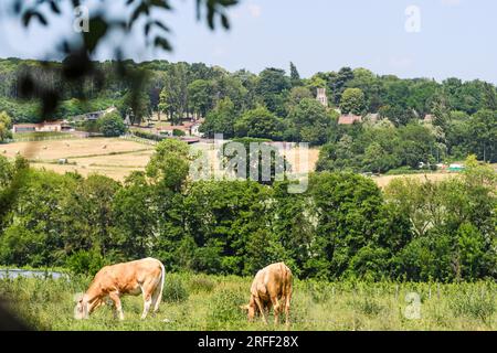 Frankreich, Departement Val d'Oise, Region Plaine Vallée Stockfoto