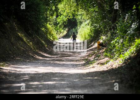 Frankreich, Departement Val d'Oise, Region Plaine Vallée Stockfoto
