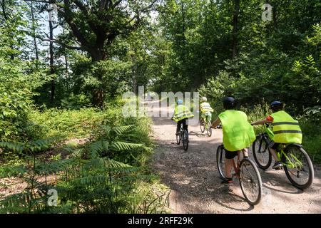 Frankreich, Departement Val d'Oise, Region Plaine Vallée Stockfoto