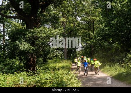 Frankreich, Departement Val d'Oise, Region Plaine Vallée Stockfoto