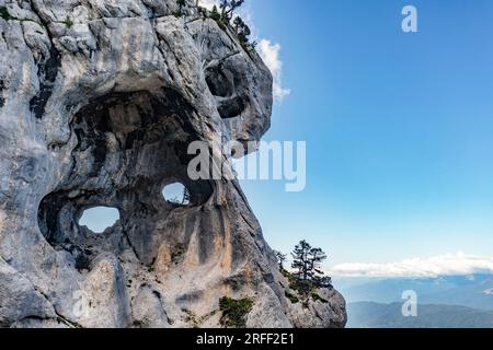 Frankreich, Isere, Massif de la Chartreuse, Arche Isabelle, Tour Percée oder Tour Isabelle. Der Grande Arche de Chartreuse ist der größte Bogen in den Alpen, seine Öffnung ist etwa 29 Meter lang. Vor der Arche befinden sich zwei Löcher im Felsen, die zwei Augen genannt werden. Es gibt keinen gekennzeichneten Pfad für Wanderer, um dorthin zu gelangen. Stockfoto