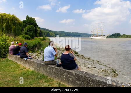Frankreich, Eure, Vieux-Port, Armada 2023, polnisches Ausbildungsschiff dar Mlodziezy segelt die seine hinauf und beobachtet Zuschauer Stockfoto