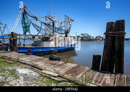 USA, Louisiana, Cocodrie, Ziegenfische am Bayou Petit Caillou Stockfoto