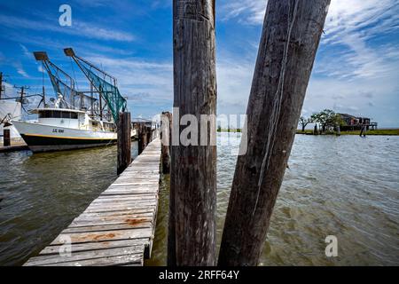 USA, Louisiana, Cocodrie, Ziegenfische am Bayou Petit Caillou Stockfoto