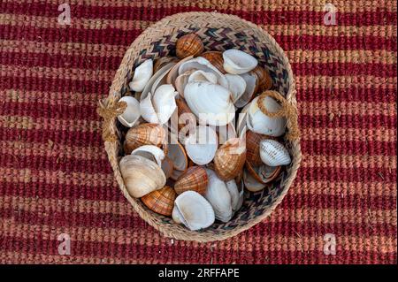 Doha, Katar - 10. Dezember 2022: Isolierter Hintergrund von Muschelmuscheln Stockfoto