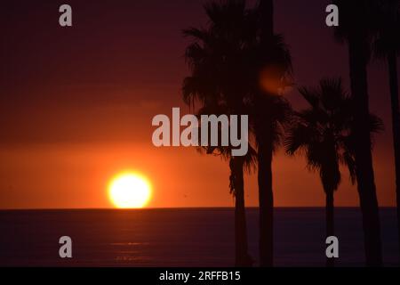 Die Sonne geht über dem Meer unter, während die Wellen hereinrollen und die Bäume und der Strand sillouettiert sind Stockfoto