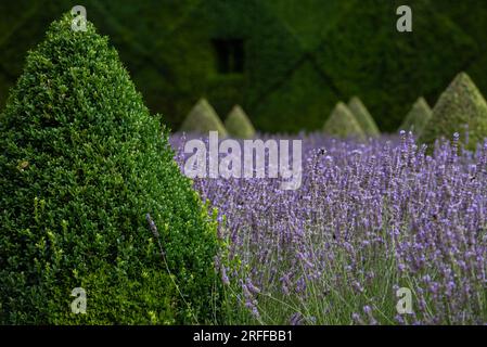 Ham House formeller Garten Stockfoto