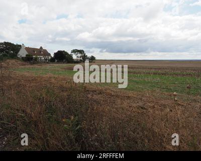 Leysdown, Kent, Großbritannien. 3. Aug. 2023. Muswell Manor (auch bekannt als Mussel Manor) in Leysdown war die Isle of Sheppey der weltweit erste Aeroklub und ist mit einem Orientierungspreis von 850k £ für das Clubhaus zu verkaufen, oder £1,8 Millionen €, wenn sie mit dem kleinen Urlaubspark um das Clubhaus herum gekauft wurde. JTC Moore Brabazon nahm den ersten britischen Motorflug auf und wurde von den Gebrüdern Wright, Short Brothers, CS Rolls und anderen bemerkenswerten Pionieren der frühen Luftfahrt besucht. Sheppey ist bekannt als Wiege der British Aviation. Kredit: James Bell/Alamy Live News Stockfoto