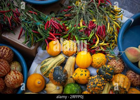 Obst und Gemüse auf einem Markt. Kürbisse, Pfeffer, Melone. Stillleben Stockfoto