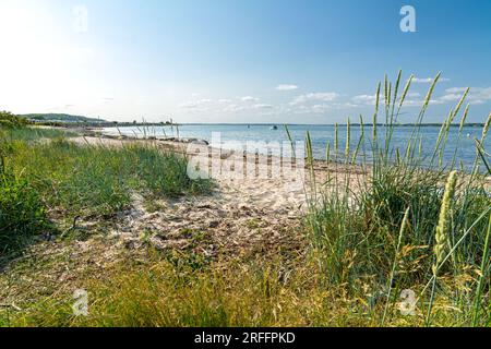 Friedlicher Strand in Westerholz an der Ostsee in Norddeutschland Stockfoto