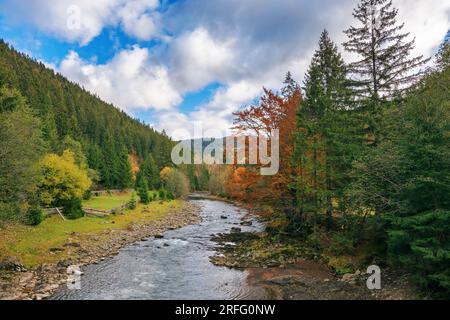 Der Fluss fließt durch das ländliche Tal. Berglandschaft im Herbst Stockfoto