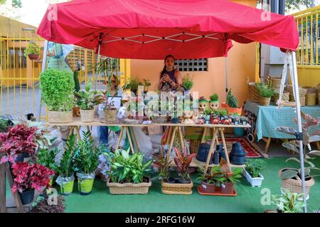 Frau verkauft Topfpflanzen und Blumen an einem Marktstand im Freien. Stockfoto