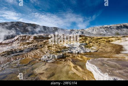 Mound Spring und Jupiter Terrace, Mammoth Hot Springs, Yellowstone National Park, Wyoming, Vereinigte Staaten von Amerika Stockfoto