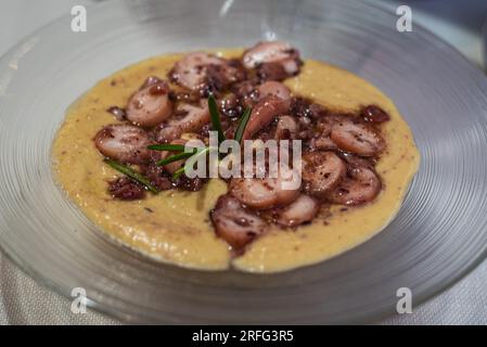 Gegrillter Tintenfisch auf einem Bett aus Bohnenhummus in einer Glasschüssel Stockfoto