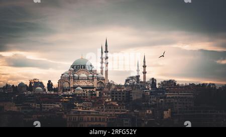 Istanbul-Stadtbild mit Süleymaniye-Moschee Stockfoto