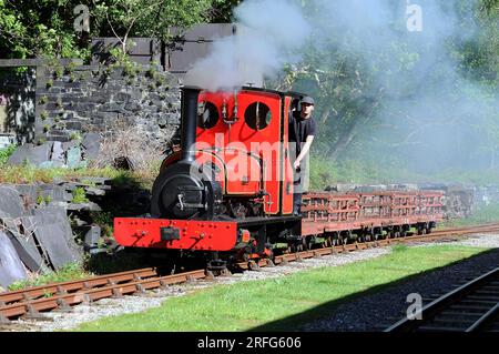 "Elidir" -Shunt an der Gilfach DDU. Stockfoto