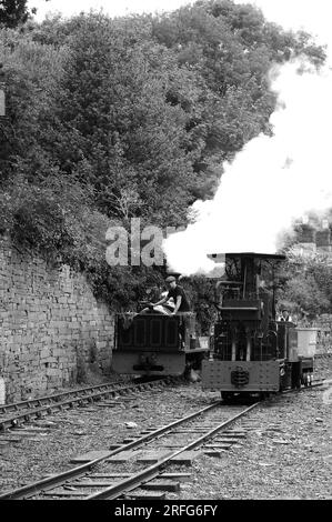 „Hugh Napier“ vorbei an „Fernilee“ bei Felin Fawr. Stockfoto