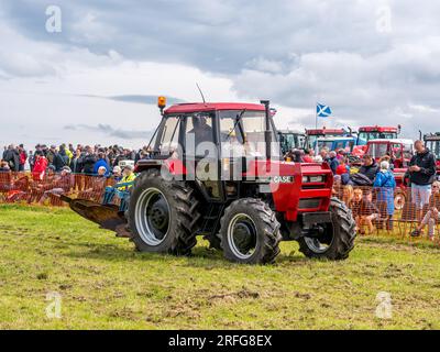 Ayrshire Vintage Tractor Club Show in Ayr. Moderner International Case Traktor und Pflug Stockfoto