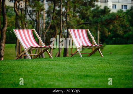Zwei Sonnenliegen auf einem frischen grünen Rasen. Ein schöner Sommerabend. Kiefern im Hintergrund. Stockfoto