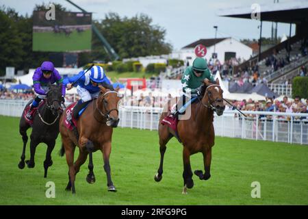 Goodwood, Großbritannien. 3. August 2023. Al Husn, geritten von Jim Crowley (blaue und weiße Mütze), gewinnt die 15,35 Qatar Nassau Stakes auf der Goodwood Racecourse, Großbritannien. Kredit: Paul Blake/Alamy Live News. Stockfoto