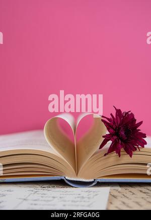 Lilafarbene Gerbera-Blume auf einem geöffneten Buch mit herzförmigen Buchseiten auf pinkfarbenem Hintergrund, romantische Buchszene Stockfoto