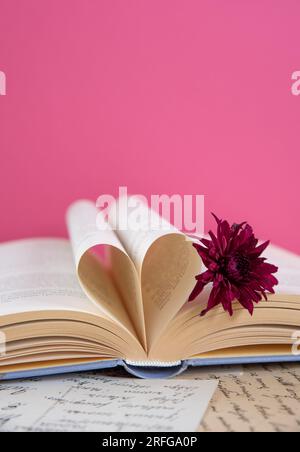 Lilafarbene Gerbera-Blume auf einem geöffneten Buch mit herzförmigen Buchseiten auf pinkfarbenem Hintergrund, romantische Buchszene Stockfoto