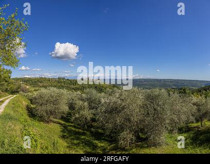 Genießen Sie tagsüber im Sommer den Blick auf die berühmte mittelalterliche Stadt Groznjan auf der istrischen Halbinsel Stockfoto