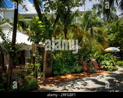 Grand Cayman, Kaimaninseln, Mai 26. 2023, Blick auf einen Fußweg vom Miss Pipers Restaurant durch eine üppige tropische Vegetation Stockfoto