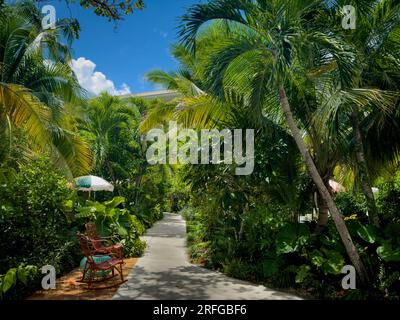 Grand Cayman, Kaimaninseln, Mai 2023, Blick auf einen Fußweg durch eine üppige tropische Vegetation Stockfoto