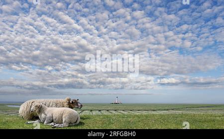 Eiderstedt Halbinsel in der Nähe des Westerhever Leuchtturms an der Nordsee, Nordfriesien, Deutschland Stockfoto