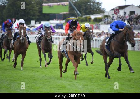 Goodwood, Großbritannien. 3. August 2023. Desert Hero, geritten von Tom Marquand (schwarze Mütze), gewinnt die John Pearce Racing Gordon Stakes 15,00 auf der Goodwood Racecourse, Großbritannien. Kredit: Paul Blake/Alamy Live News. Stockfoto