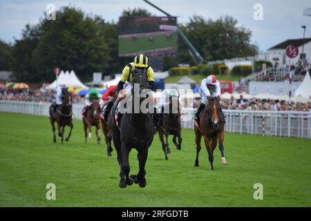 Goodwood, Großbritannien. 3. August 2023. Vandeek, geritten von Andrea Atzeni (gelbe und schwarze Mütze), gewinnt die 15,35 Markel Richmond Stakes auf der Goodwood Racecourse, Großbritannien. Kredit: Paul Blake/Alamy Live News. Stockfoto