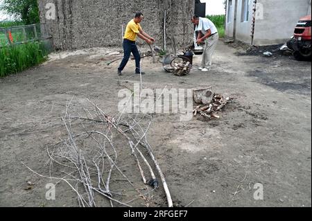 (230803) -- TONGLIAO, 3. August 2023 (Xinhua) -- Bai Shun (R) kocht Wasser in seinem Haus in Bulteger Gacha, Horqin Left Wing Rear Banner von Tongliao City, Nordchina innere Mongolei Autonome Region, 2. August 2023. Im Zentrum des Horqin Sandy Land befindet sich Bulteger Gacha, ein kleines Dorf im Horqin Left Wing Rear Banner von Tongliao City, das früher unter Wüstenbildung litt. Seit 2002 hat Bai Shun, ein lokaler mongolischer Bauer, seine Familie in diesem Dorf Wurzeln geschlagen und sich der Kontrolle der Wüstenbildung verschrieben. Die Überlebensrate der gepflanzten Bäume war zu Beginn aufgrund von La niedrig Stockfoto