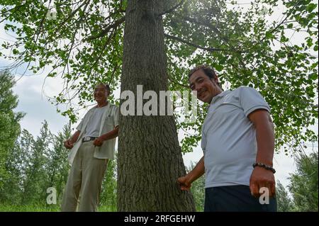 (230803) -- TONGLIAO, 3. August 2023 (Xinhua) -- Bai Shun (L) und sein Sohn posieren für Fotos mit dem ersten Baum, den sie in Bulteger Gacha gepflanzt haben, Horqin Left Wing Rear Banner von Tongliao City, Nordchina innere Mongolei Autonome Region, 2. August 2023. Im Zentrum des Horqin Sandy Land befindet sich Bulteger Gacha, ein kleines Dorf im Horqin Left Wing Rear Banner von Tongliao City, das früher unter Wüstenbildung litt. Seit 2002 hat Bai Shun, ein lokaler mongolischer Bauer, seine Familie in diesem Dorf Wurzeln geschlagen und sich der Kontrolle der Wüstenbildung verschrieben. Die Überlebensrate des gepflanzten Baumes Stockfoto