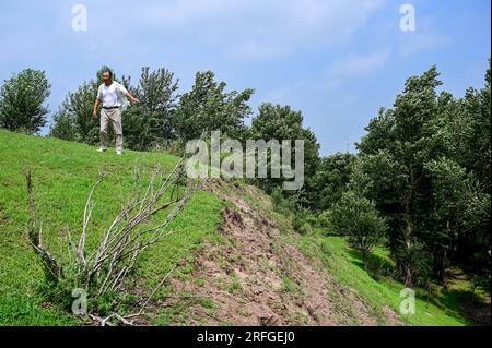 (230803) -- TONGLIAO, 3. August 2023 (Xinhua) -- Bai Shun spricht über seine Erfahrungen mit der Sandkontrolle auf einer Wiese in Bulteger Gacha, Horqin Left Wing Rear Banner von Tongliao City, Nordchina innere Mongolei Autonome Region, 2. August 2023. Im Zentrum des Horqin Sandy Land befindet sich Bulteger Gacha, ein kleines Dorf im Horqin Left Wing Rear Banner von Tongliao City, das früher unter Wüstenbildung litt. Seit 2002 hat Bai Shun, ein lokaler mongolischer Bauer, seine Familie in diesem Dorf Wurzeln geschlagen und sich der Kontrolle der Wüstenbildung verschrieben. Die Überlebensrate der gepflanzten Bäume war bei niedrig Stockfoto