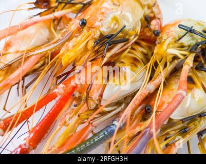 Nahaufnahme der gegrillten riesigen Süßwassergarnelen auf der weißen Kunststoffplatte im Fischrestaurant, Vorderansicht mit Kopierbereich. Stockfoto