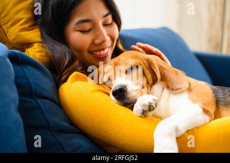 Ein Beagle-Welpe, ein Hund, der tagsüber auf dem Boden in einem Heim läuft. Stockfoto