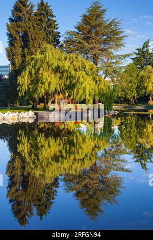 Minoru Lakes Stadtpark in Richmond, British Columbia, Kanada Stockfoto