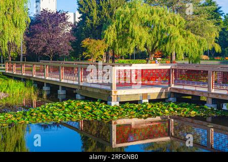 Minoru Lakes Stadtpark in Richmond, British Columbia, Kanada Stockfoto