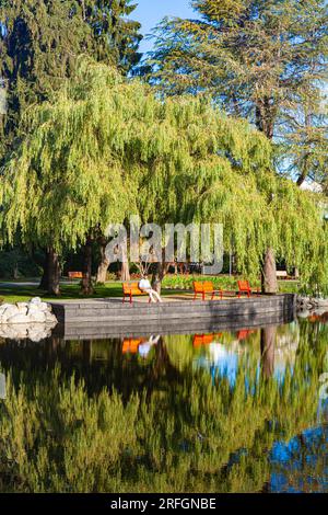 Minoru Lakes Stadtpark in Richmond, British Columbia, Kanada Stockfoto