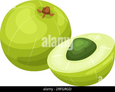 indische Amla-Frucht-Cartoon-Vektordarstellung Stock Vektor