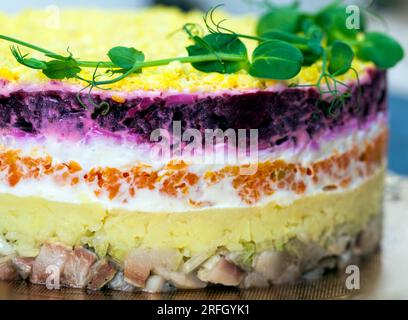 Hering unter einem Pelzmantel ist ein traditioneller Salat in Russland, der aus Hering, Karotten, Kartoffelmayonnaise und roter Bete hergestellt wird Stockfoto