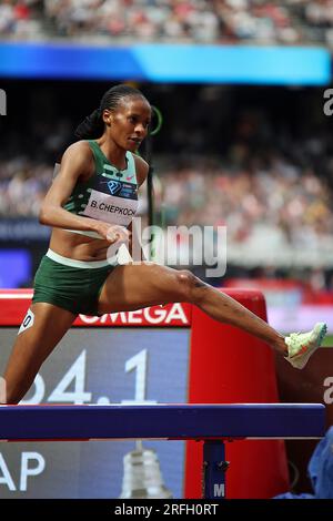 Beatrice CHEPKOECH aus Kenia belegt 2. in der 3000 Meter langen Steeplechase für die Frauen in der Wanda Diamond League, London Stadium, Queen Elizabeth Park - London, 23. Juli 2023 Stockfoto