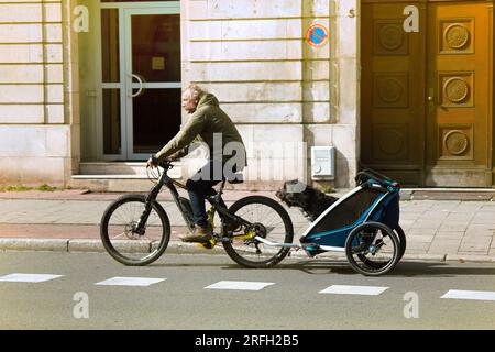 Metz, Frankreich - 20. September 2017: Bürger transportiert Hund auf Fahrrad in einem speziellen Anhänger. Fahrradanhänger Stockfoto