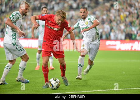 Stockholm, Schweden. 03. Aug. 2023. STOCKHOLM, SCHWEDEN – AUGUST 3: SEM Steijn vom FC Twente während der zweiten Qualifikationsrunde der UEFA Conference League – Spiel der zweiten Teilstrecke zwischen Hammarby und FC Twente in der Stockholm Arena am 3. August 2023 in Stockholm, Schweden (Foto: Pelle T Nilsson/BSR-Agentur) Kredit: BSR Agency/Alamy Live News Stockfoto