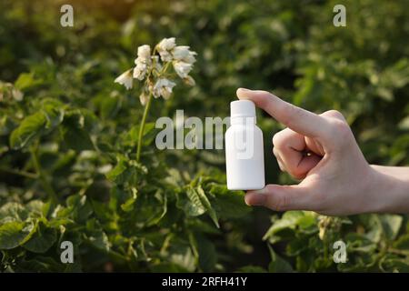 Probleme und Lösung der Gartensaison. Zugeschnittene Fotohand des Bauern hält weiße Flasche mit Modell für Gift, Pestizidflüssigkeit von Pflanzenkrankheiten und Stockfoto