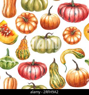 Kürbisse. Nahtloses Muster auf weißem Hintergrund. Von Hand gemalte Aquarelle, helle HerbstKürbisse. Muster für Textildesign im Herbst Stockfoto
