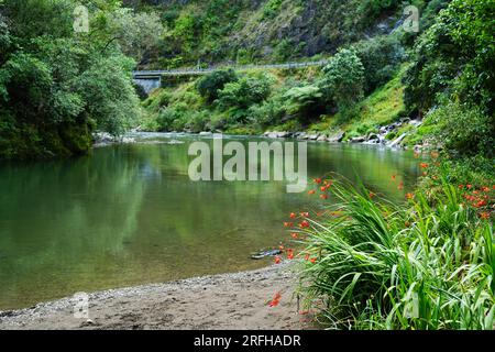 Opato Stream am Waioeka River entlang einer malerischen Raststätte am State Highway 2, Neuseeland Stockfoto