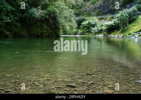 Opato Stream am Waioeka River entlang einer malerischen Raststätte am State Highway 2, Neuseeland Stockfoto