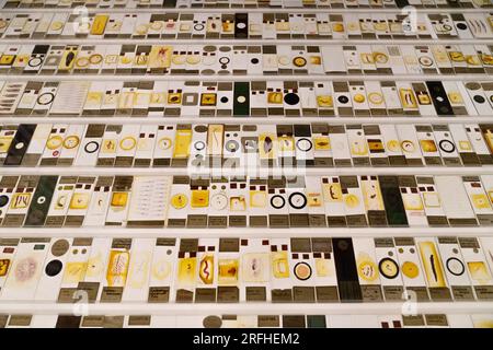 Grant Museum of Zoology - Skelette und erhaltene Überreste großer und kleiner Tiere in Vitrinen im viktorianischen Stil Stockfoto